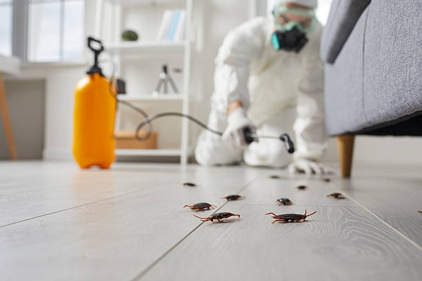 Commercial Kitchen Cockroach Control in Shamokin Dam
